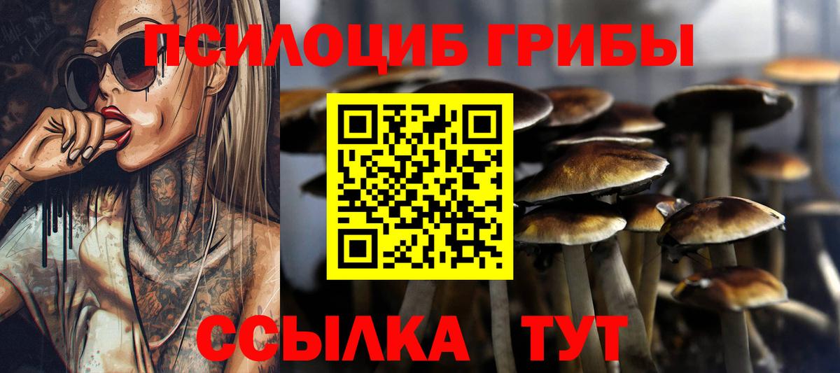 Псилоцибиновые грибы мухоморы Будённовск