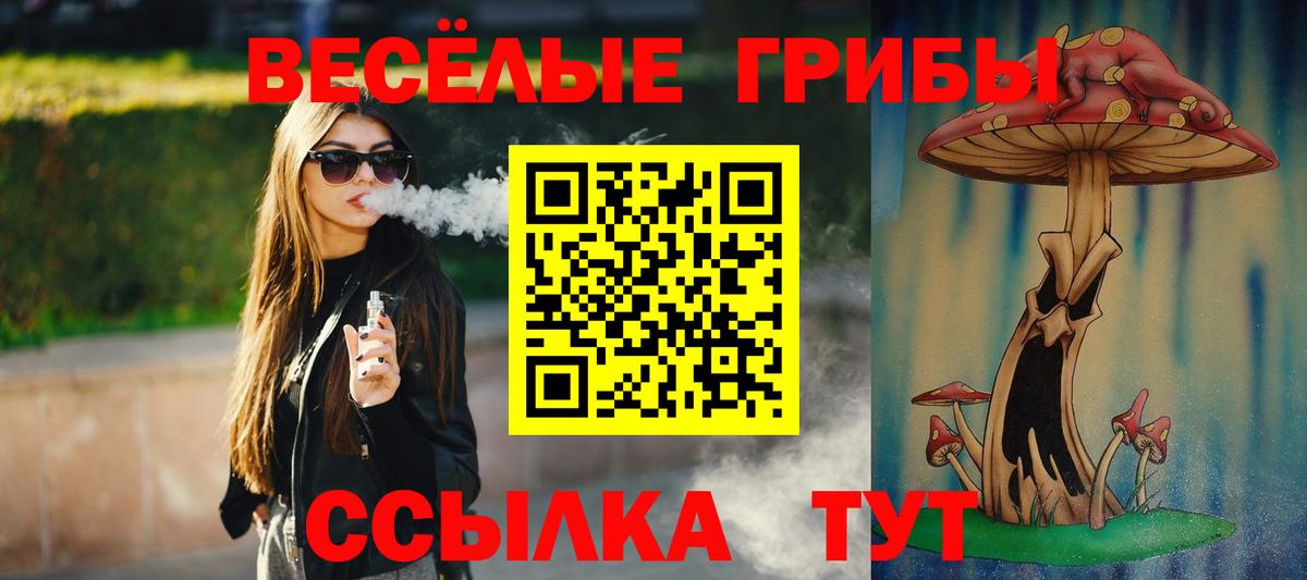Будённовск  Галлюциногенные грибы Psilocybe  Вход с VPN 